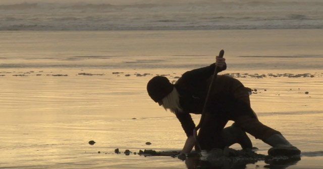 Digging for clams